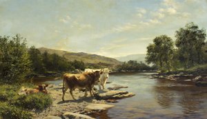 Wye