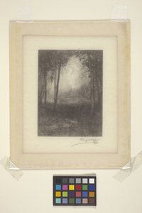 Adirondacks'ta (mürekkep) by Henry Wolf