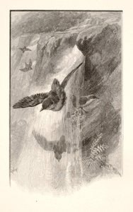  by Henry Wolf