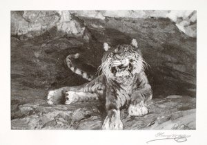  by Henry Wolf