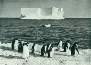 McMurdo Sound
