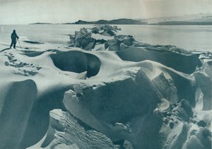 Cape Barne