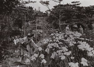 Hori-kiri