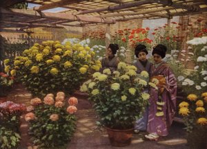 Krizantem Gösterisinde (fotoğraf) by Herbert Ponting