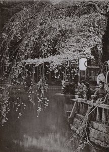 Japonya