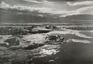 Noel Arifesi 1910 Pakette, 1913 by Herbert Ponting