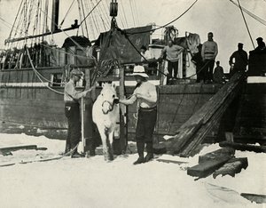 Midillilerin Karaya Çıkarılması, c19101913, 1913 by Herbert Ponting