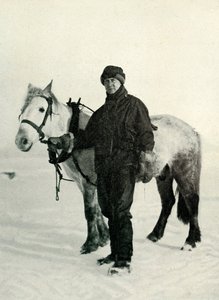 Dr. Wilson ve Pony Nobby, c1911, 1913 by Herbert Ponting
