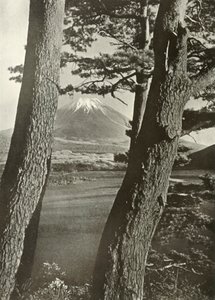 Motosu Gölü Çamlarının Arasında Fuji, 1910. by Herbert Ponting