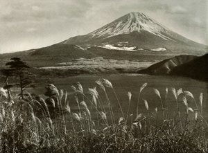 Fuji ve Kaia Otu, 1910. by Herbert Ponting