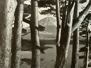 Fuji ve Çam Ağaçları, 1910. by Herbert Ponting