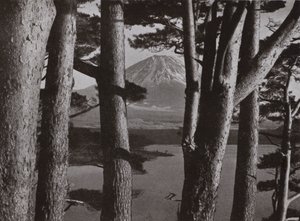 Çam Ağaçlarının arasından Fuji (s/b fotoğraf) by Herbert Ponting