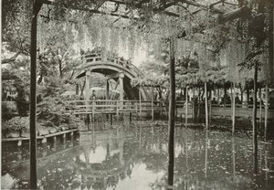 Kameido, 1910. by Herbert Ponting