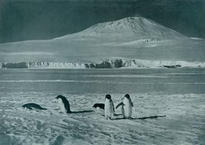 Erebus Dağı, c1911, 1913 by Herbert Ponting