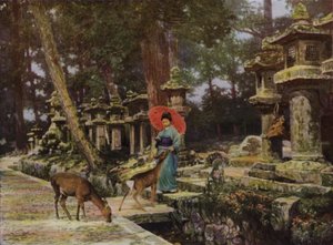 Nara, Eski Japonya