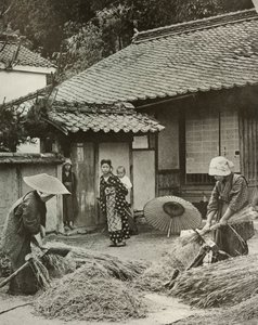 Arpaya Başlayan Köylü Kadınlar, 1910. by Herbert Ponting