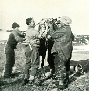 Midilli Viski Alır, 8 Şubat 1911, 1913 by Herbert Ponting