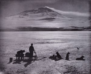 Arka planda Erebus Dağı olan kızak ve köpekler (s/b fotoğraf) by Herbert Ponting