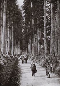 Nikko