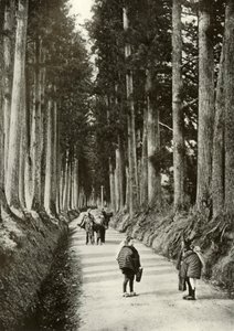 Nikko