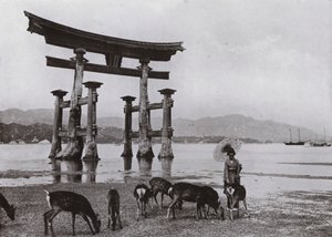 Miyajima