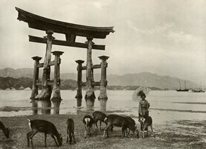 Miyajima