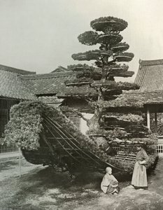 Kinkakuji