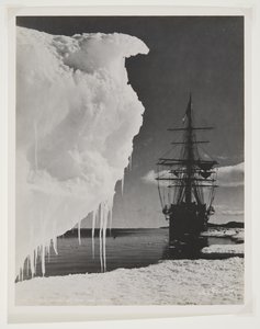 Buz Ayaktaki Terra Nova (bromür baskı) by Herbert Ponting