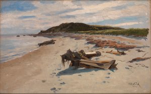 Cape Cod, Sahil, 1894.