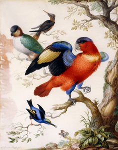 Ahşapta Dört Kuş, by Herman Henstenburgh