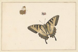 üç kelebek by Herman Henstenburgh