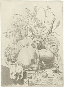 Meyveler ve kelebekli bir dal by Hermanus Fock