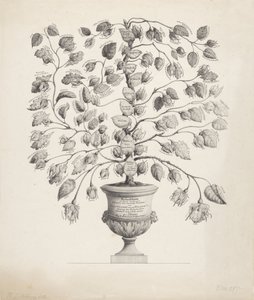Orange-Nassau Evi'nin soy ağacı by Hermanus Johannes Abbring