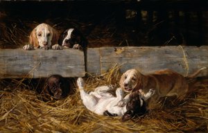 H.Biedermann-Arendts, Yavru köpeklerle oynamak by Hermine Biedermann Arendt