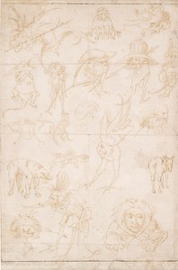 Grotesk Çalışmalar, c1500-1520 by Hieronymus Bosch
