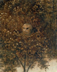  by Hieronymus Bosch