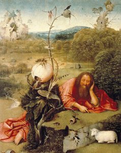 “" Vaftizci Yahya doğada uyuyakaldı "” Hieronymus Van Aeken (Aken) tarafından yapılan resim, Jerome Bosch (1450-1516) 1504-1505 Madrid diyor. Lazaro Galdiano Vakfı by Hieronymus Bosch