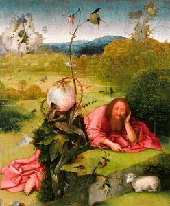 Vaftizci Yahya Çölde, Geç 15. Yüzyıl. by Hieronymus Bosch