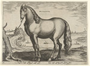 Brittany'den (Brittanus) At Britannvs (nesne üzerinde başlık) Avusturya'nın Don Juan Kraliyet Ahırlarından at ırkları (seri başlığı) Equile Ioannis Austriaci Caroli (seri başlığı) by Hieronymus Wierix