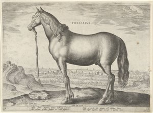 Thessaly'den (Thessalus) Thessalvs (nesne üzerinde başlık) Avusturya'nın Don Juan Kraliyet Ahırlarından at ırkları (seri başlığı) Equile Ioannis Austriaci Caroli (seri başlığı)