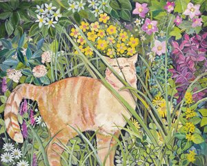 Kedi ve Uzun Çim, 1996 by Hilary Jones