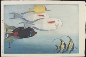 Honolulu Akvaryumu by Hiroshi Yoshida
