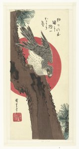 Çam ağacı üzerinde şahin by Hiroshige (I) , Utagawa