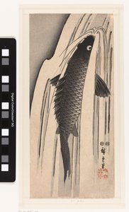 Şelaleye karşı yüzen sazan by Hiroshige (I) , Utagawa