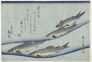Alabalık by Hiroshige (I) , Utagawa