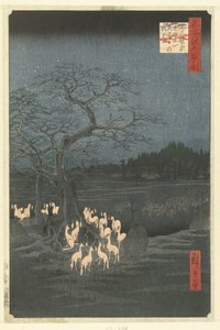 Oji