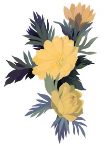 adonis ramosa by Hiroyuki Izutsu