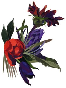 Laleler ve dahlias.