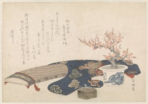 Koto ile natürmort
