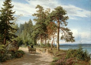  by Hjalmar Munsterhjelm